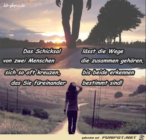 das schicksaal 