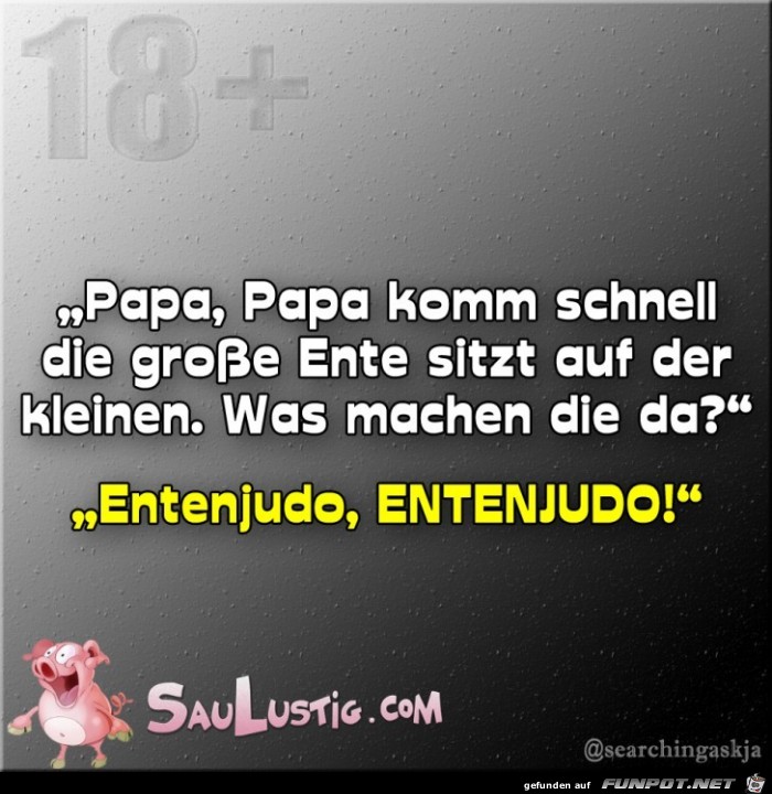 Entenjudo Entenjudo