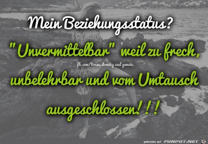 Beziehungsstatus Beziehungsstatus