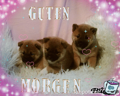 Guten Morgen Guten Morgen