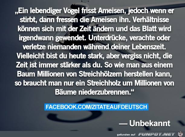 Ein lebendiger Vogel Ein lebendiger Vogel