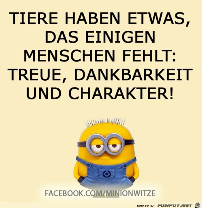 tiere haben tiere haben