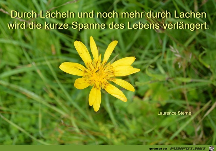 10 schne Sprche und Lebensweisheiten aus...