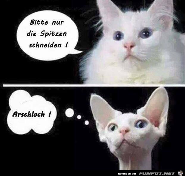 Spitzen schneiden Spitzen schneiden
