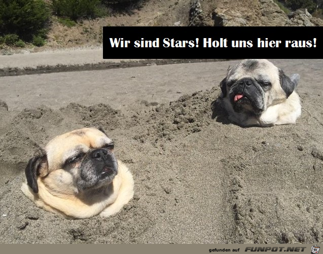 Stars.png auf www.funpot.net
