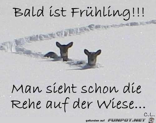 bald ist Fruehling bald ist Fruehling