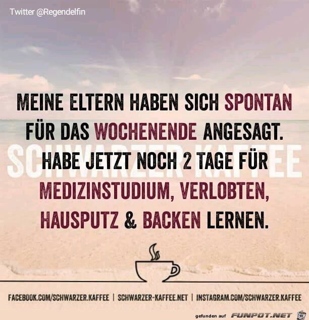 Spontaner Besuch