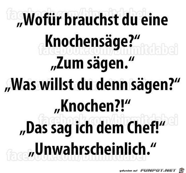 knochen knochen