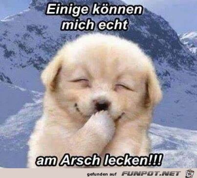 einige knnen mich ech
