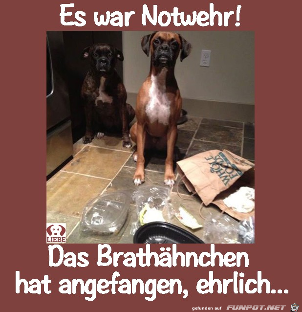 Notwehr Notwehr