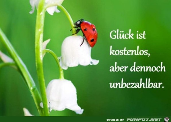 10 schne Sprche und Lebensweisheiten aus...