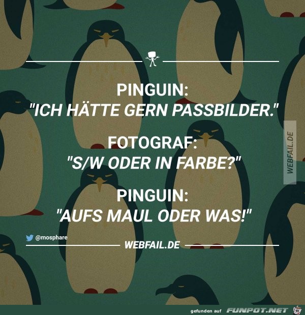 Pinguin Pinguin