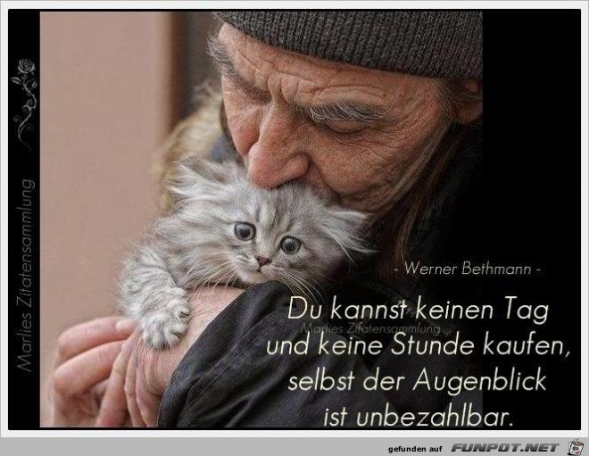 kaufen kaufen