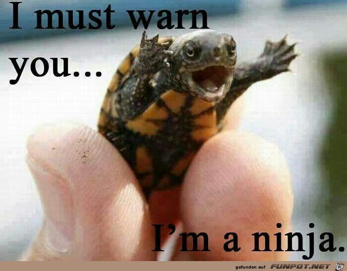 Ich warne Dich... Ich warne Dich...