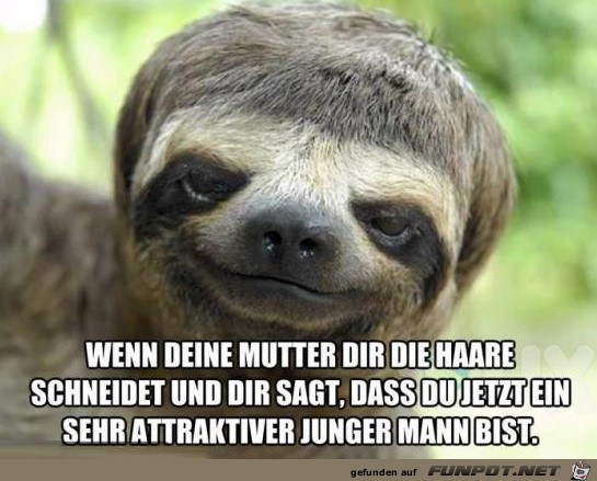 Haare Haare