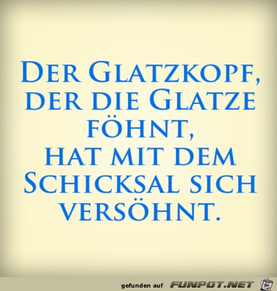 glatzkopf glatzkopf