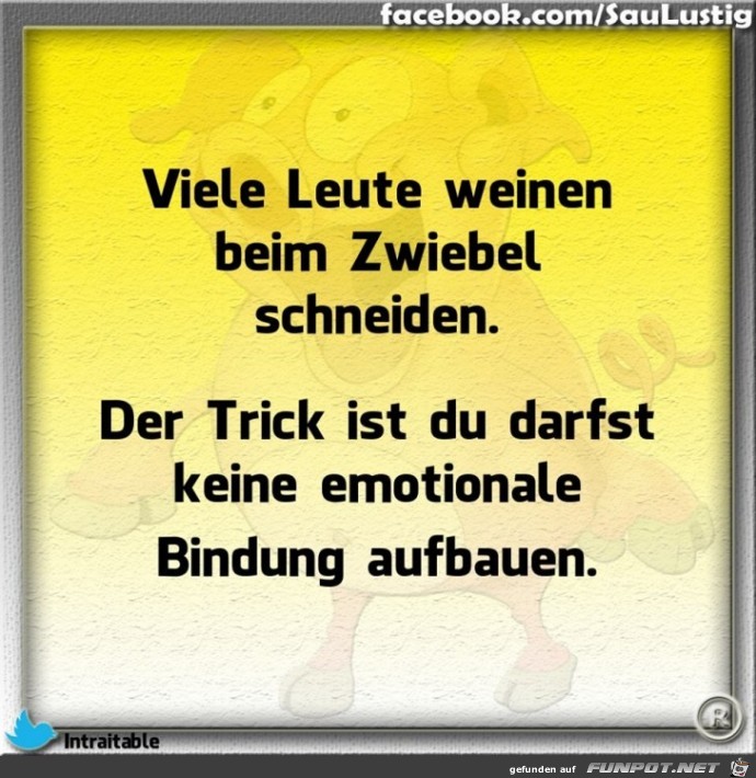 klasse Sprche und Witze!