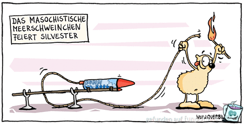 Meerschweinchen feiert Silvester Meerschweinchen feiert Silvester