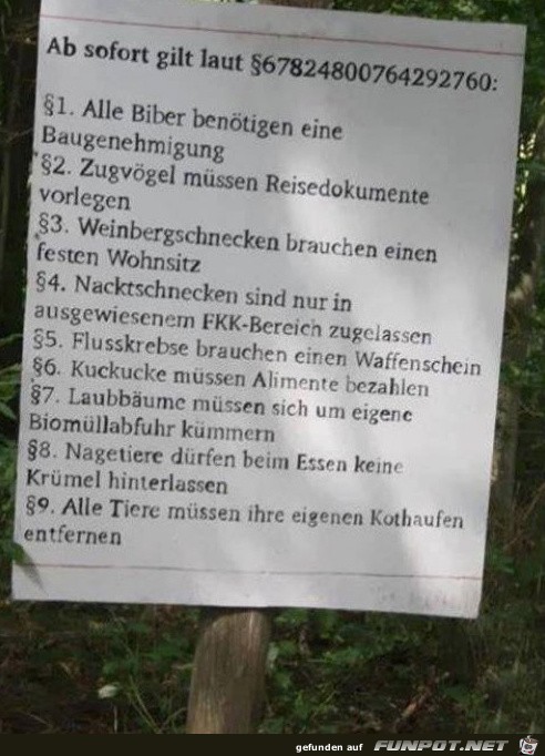 neuer paragraph