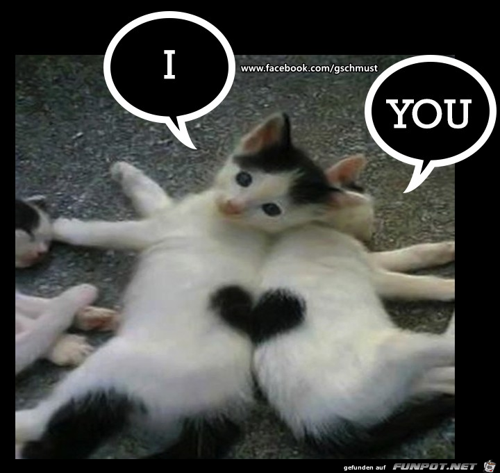 I You I You