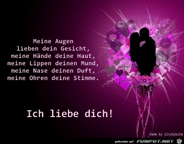 Meine Augen lieben Meine Augen lieben