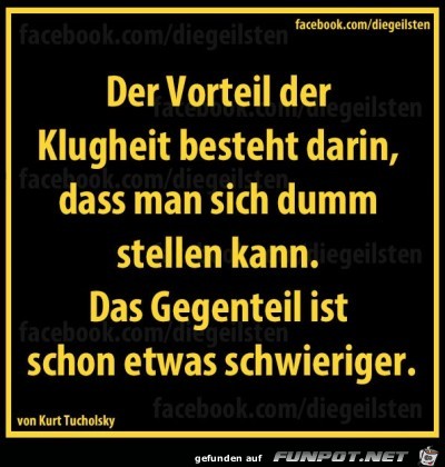 dumm tellen dumm tellen