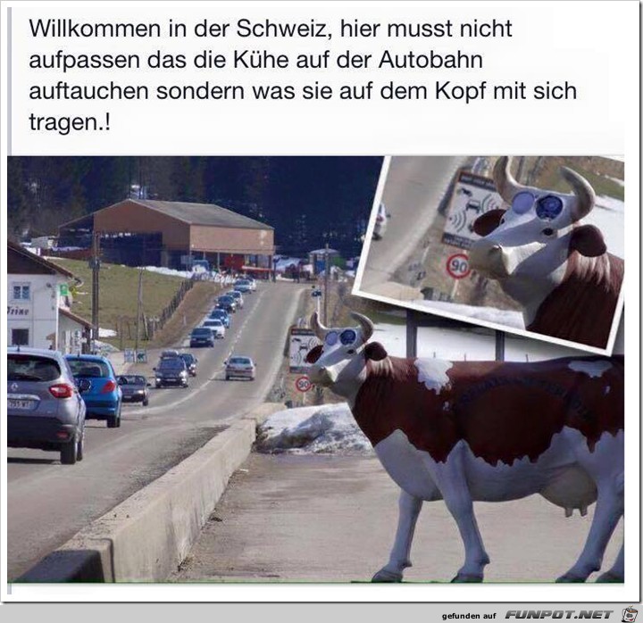 Kuh-Blitzer in der Schweiz Kuh-Blitzer in der Schweiz