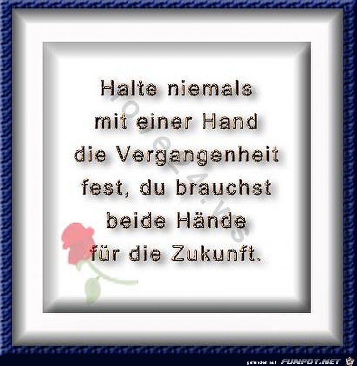 Halte niemals Halte niemals