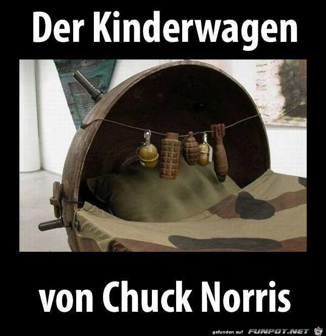 der-kinderwagen der-kinderwagen