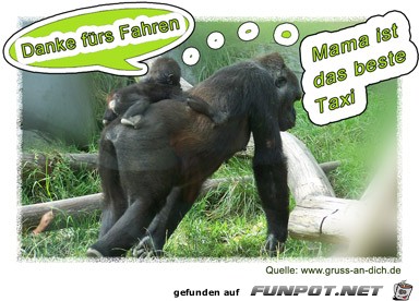Danke fuers fahren Danke fuers fahren