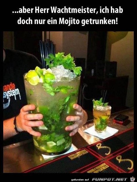 aber Herr Wachtmeister... aber Herr Wachtmeister...