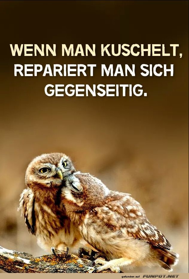wenn man kuschelt