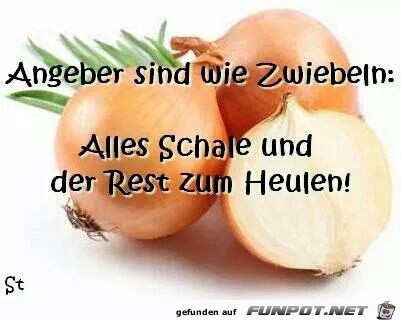 Zwiebeln Zwiebeln