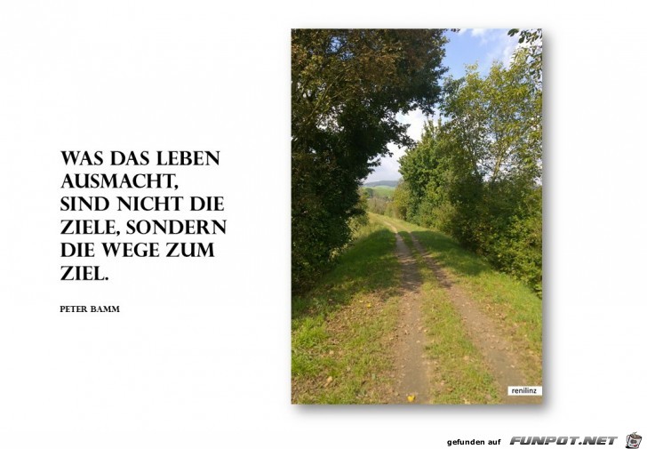 Was das Leben ausmacht Was das Leben ausmacht