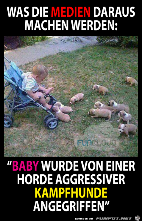 Baby wurde angegriffen Baby wurde angegriffen
