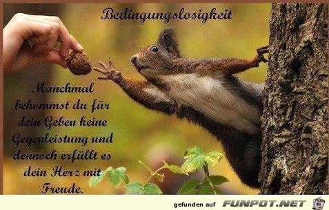 bedingungslosigkeit bedingungslosigkeit