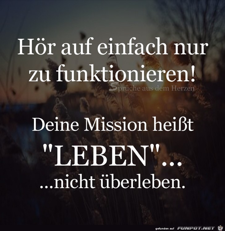 Hoer auf Hoer auf