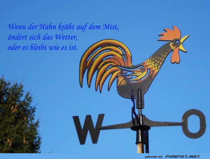 Wetterhahn Wetterhahn