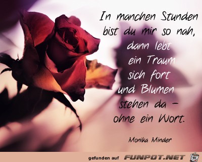 in-manchen-stunden