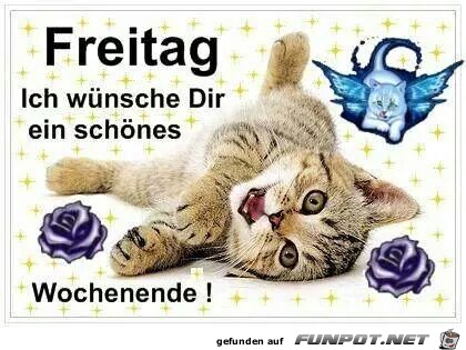 Freitag Freitag