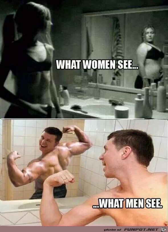 what see what see