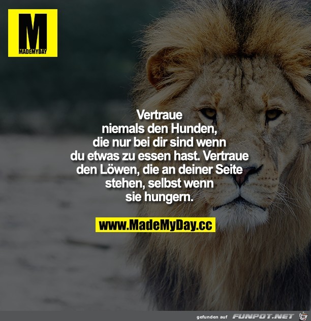 Vertraue Vertraue