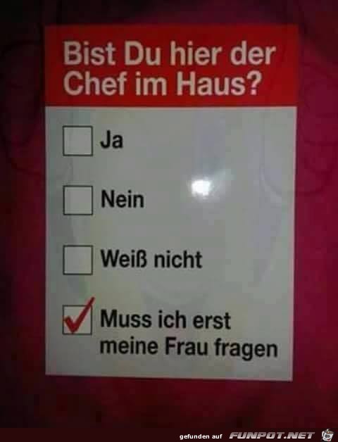 Chef im Haus Chef im Haus