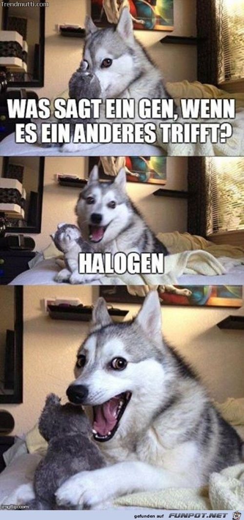 Gen Gen