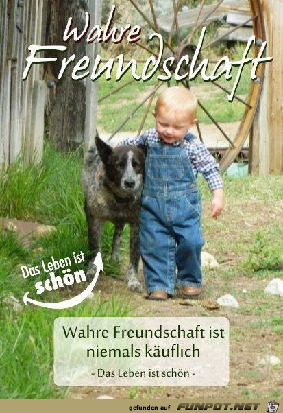 wahre Freundschaft wahre Freundschaft