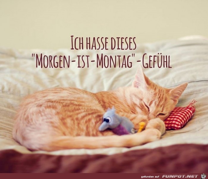 Morgen-ist-montag Morgen-ist-montag