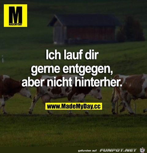 Ich laufe dir gerne entgegen Ich laufe dir gerne entgegen