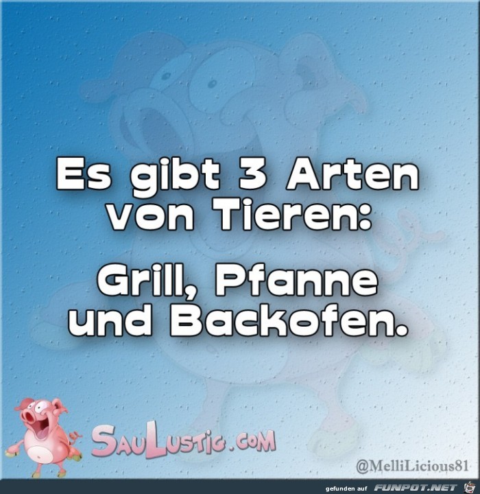 3-Arten-von-Tieren 3-Arten-von-Tieren