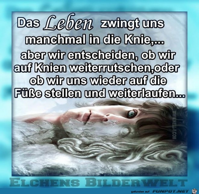 das Leben das Leben