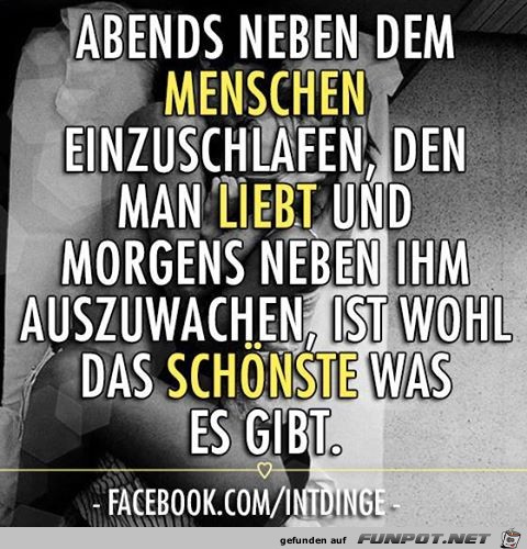 schöne Sprüche zur Liebe und Partnerschaft